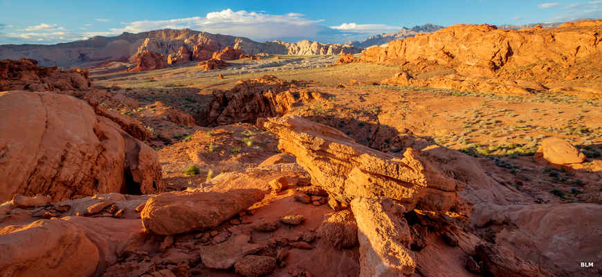 Gold Butte National Monument