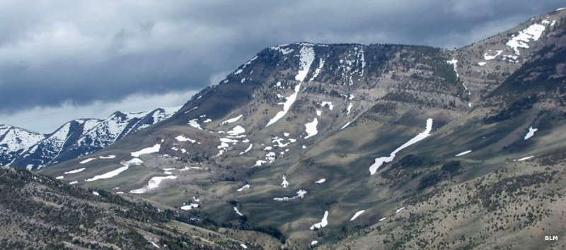 Goshute Canyon Wilderness