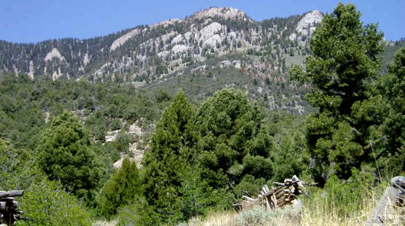 Goshute Canyon Wilderness | The Sights and Sites of America