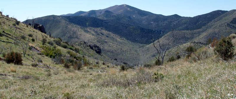 Parsnip Peak Wilderness