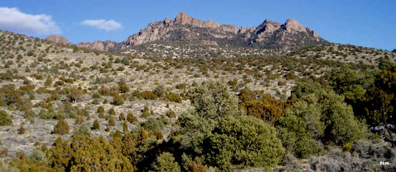 South Egan Range Wilderness