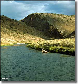 Escape to the Emerald Gem: Nevada's South Fork State Recreation Area