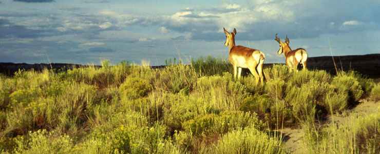 Sheldon National Wildlife Refuge | The Sights and Sites of America