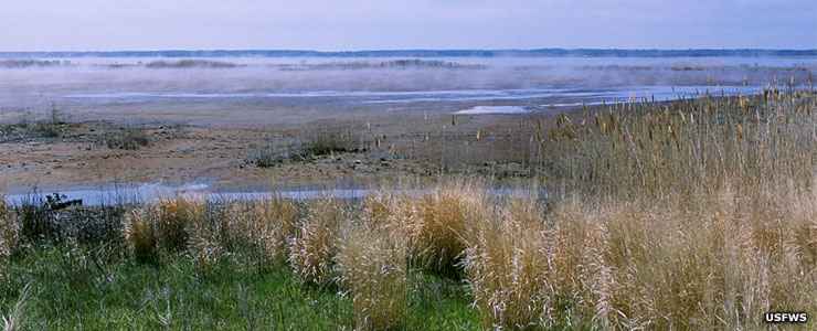 Edwin B. Forsythe National Wildlife Refuge