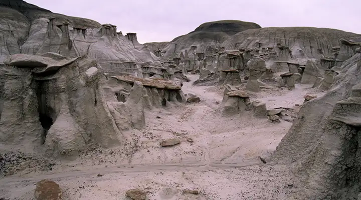 Bisti DeNaZin Wilderness