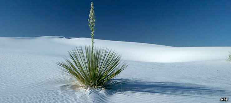 White Sands National Park