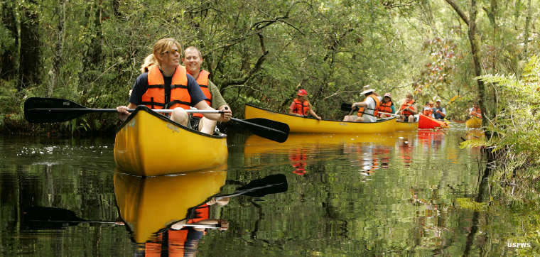 Alligator River National Wildlife Refuge