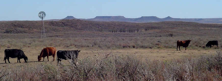 https://www.thearmchairexplorer.com/oklahoma/o-images/usfs/black-kettle-grassland-antelope-hills001.jpg