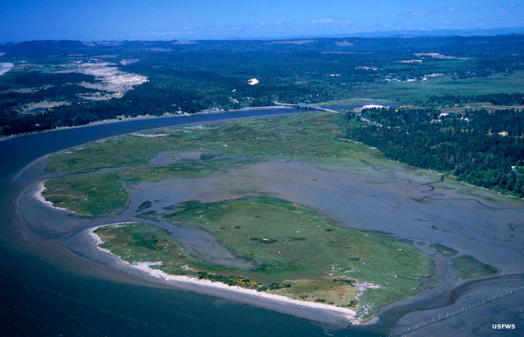 Bandon Marsh National Wildlife Refuge