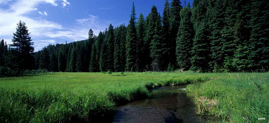 Malheur National Forest