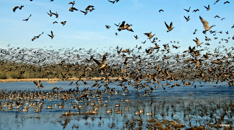 William L. Finley National Wildlife Refuge