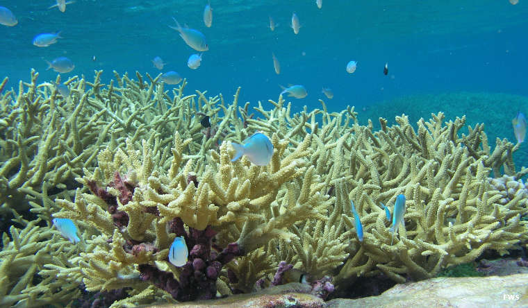 Palmyra Atoll National Wildlife Refuge