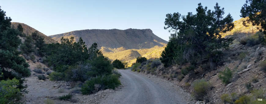 Beaver Dam Wash National Conservation Area | BLM Sites