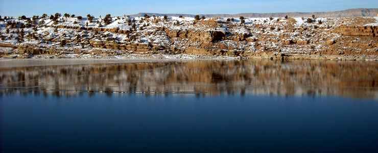 are dogs allowed at starvation reservoir