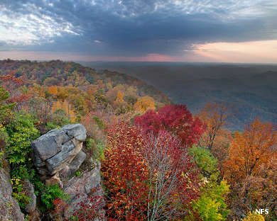 George Washington and Jefferson National Forests