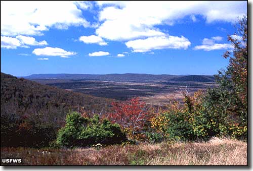 Canaan Valley National Wildlife Refuge | West Virginia National ...