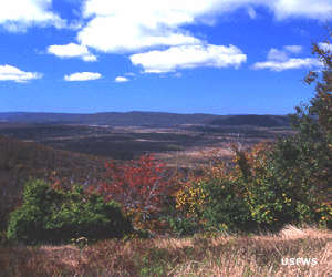 Canaan Valley National Wildlife Refuge