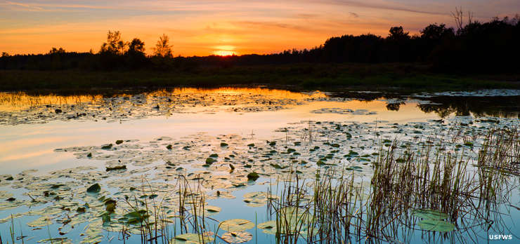 Necedah National Wildlife Refuge